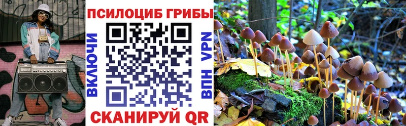 Псилоцибиновые грибы мухоморы  Купить  Суздаль 