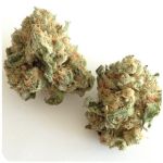 Шишки "White Widow"  (Белая вдова)  Гидропоника -  Бошка VHQ в Суздале