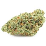 Шишки OG Kush  (Гидропоника, бошки) VHQ в Суздале